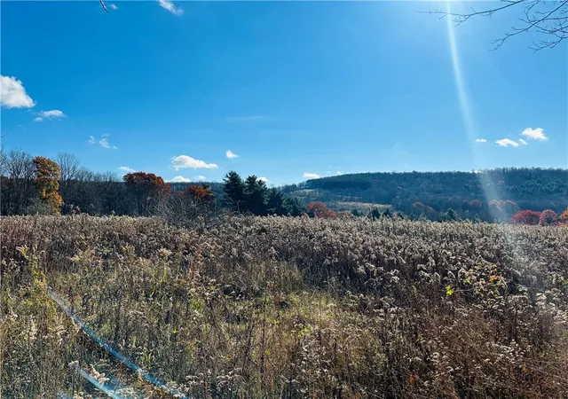 Photo 2 of Land for sale at 12522 State Hwy 206, Walton, NY 13856 | MLS# R1705751 | Listing updated on 2026-08-10
