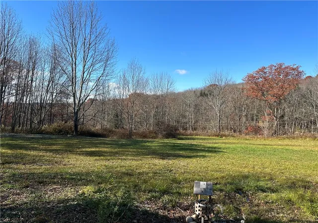 Photo 3 of Land for sale at 12522 State Hwy 206, Walton, NY 13856 | MLS# R1705751 | Listing updated on 2026-08-10