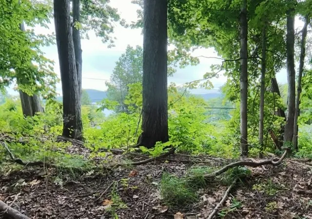 Photo 3 of Land for sale at (Undisclosed), Cooperstown, NY 13326 | MLS# R1704117 | Listing updated on 2026-08-10
