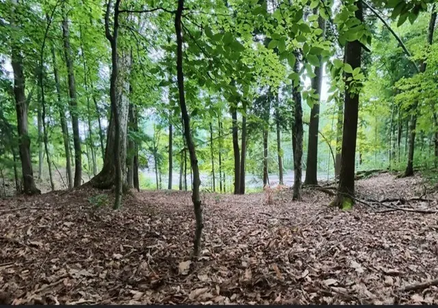 Photo 4 of Land for sale at (Undisclosed), Cooperstown, NY 13326 | MLS# R1704117 | Listing updated on 2026-08-10