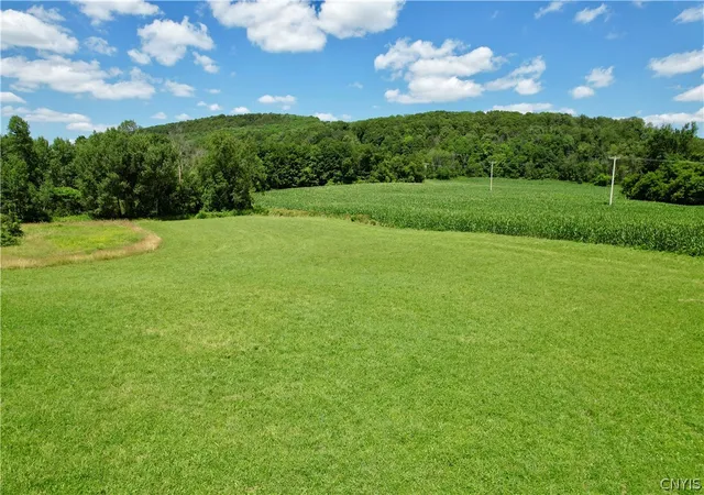 Photo 3 of Land for sale at 00 E Lake Rd, De Ruyter, NY 13052 | MLS# S1705983 | Listing updated on 2026-08-11