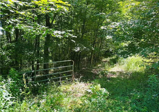 Photo 1 of Land for sale at 287 Dirt Rd, Delancey, NY 13752 | MLS# R1705277 | Listing updated on 2026-08-10