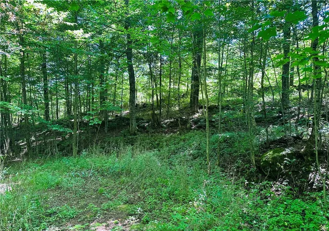 Photo 2 of Land for sale at 287 Dirt Rd, Delancey, NY 13752 | MLS# R1705277 | Listing updated on 2026-08-10