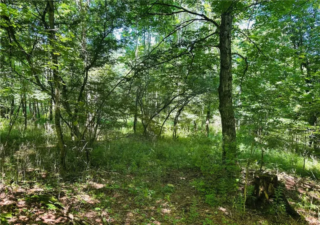 Photo 3 of Land for sale at 287 Dirt Rd, Delancey, NY 13752 | MLS# R1705277 | Listing updated on 2026-08-10