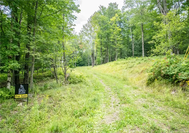 Photo 1 of Land for sale at Lot 8 Beaver Crk Holw Rd, Andes, NY 13752 | MLS# R1706156 | Listing updated on 2026-08-11