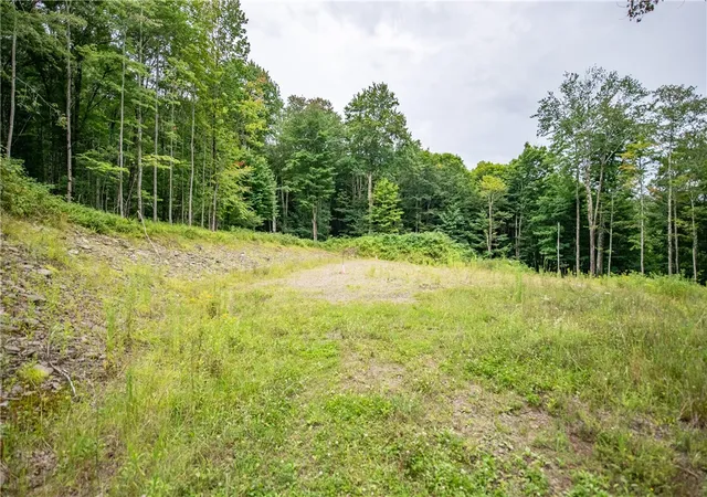 Photo 2 of Land for sale at Lot 8 Beaver Crk Holw Rd, Andes, NY 13752 | MLS# R1706156 | Listing updated on 2026-08-11