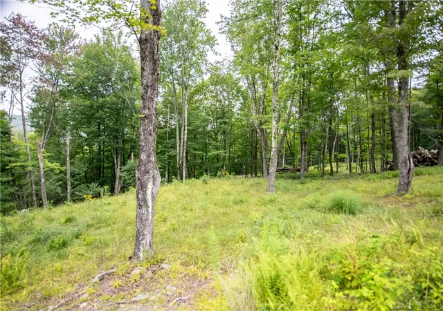 Photo 3 of Land for sale at Lot 8 Beaver Crk Holw Rd, Andes, NY 13752 | MLS# R1706156 | Listing updated on 2026-08-11