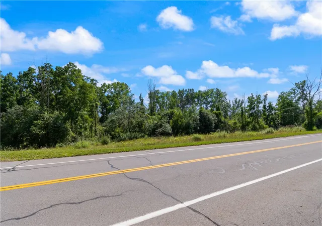 Land for sale at 77 Bloom Rd, Newark, NY 14513 | MLS# R1703195