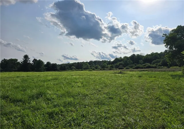Photo 2 of Land for sale at Berry Rd, Lafayette, NY 13084 | MLS# S1706532 | Listing updated on 2026-08-12
