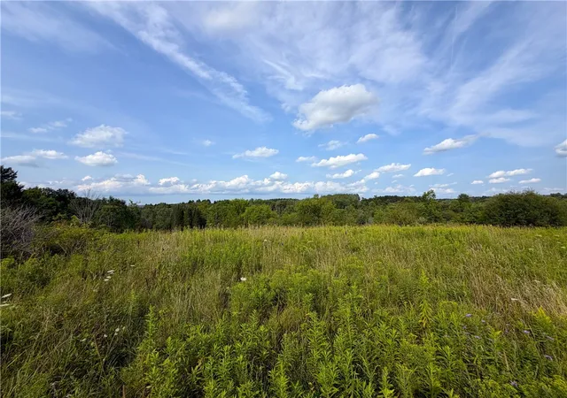 Photo 1 of Sale Pending at 0 Michigan Rd, Arcade, NY 14009 | MLS# R1707062 | Listing updated on 2026-08-20
