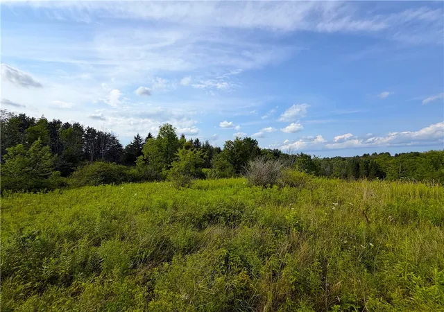 Photo 2 of Sale Pending at 0 Michigan Rd, Arcade, NY 14009 | MLS# R1707062 | Listing updated on 2026-08-20