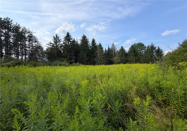 Photo 3 of Sale Pending at 0 Michigan Rd, Arcade, NY 14009 | MLS# R1707062 | Listing updated on 2026-08-20