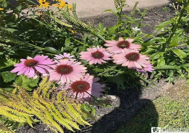 Photo 22 of Single family home for sale at 1669 Groveland Ave, Youngstown, NY 14174 | MLS# R1707092 | Listing updated on 2026-09-03