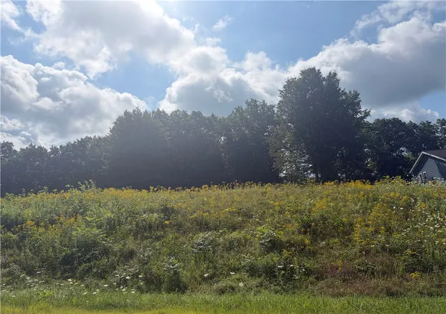 Photo 1 of Land for sale at 107 Woodland Dr, Oneonta, NY 13820 | MLS# R1706100 | Listing updated on 2026-08-20