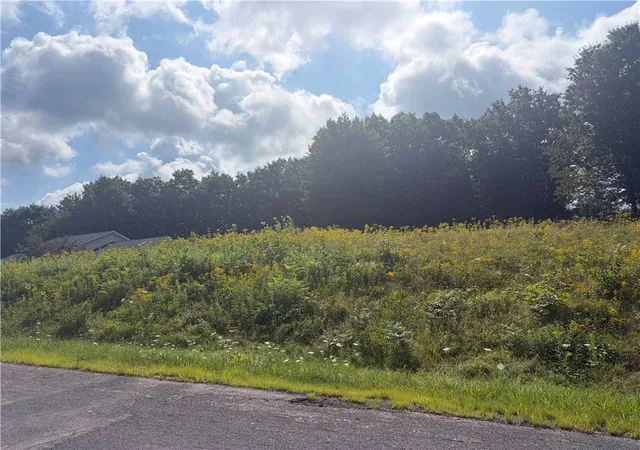 Photo 2 of Land for sale at 107 Woodland Dr, Oneonta, NY 13820 | MLS# R1706100 | Listing updated on 2026-08-20