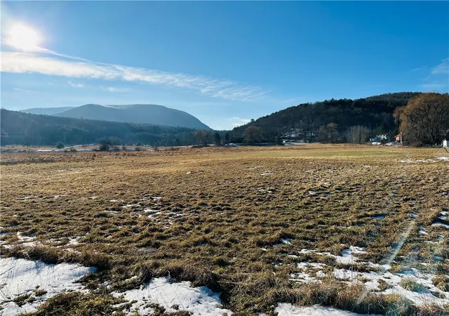 Photo 1 of Land for sale at 171 Cronk Ln, Grand Gorge, NY 12434 | MLS# R1707532 | Listing updated on 2026-08-17
