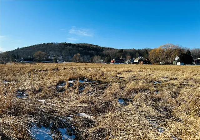 Photo 2 of Land for sale at 171 Cronk Ln, Grand Gorge, NY 12434 | MLS# R1707532 | Listing updated on 2026-08-17