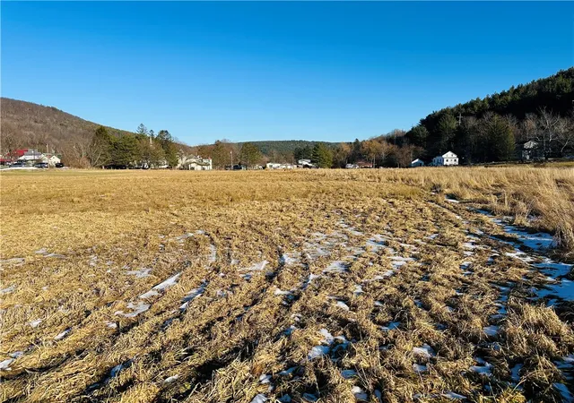 Photo 3 of Land for sale at 171 Cronk Ln, Grand Gorge, NY 12434 | MLS# R1707532 | Listing updated on 2026-08-17