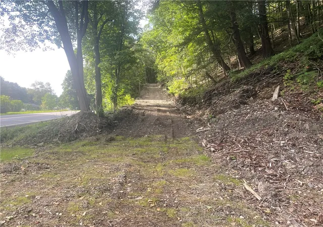 Photo 1 of Land for sale at County Hwy 35, Milford, NY 13807 | MLS# R1707777 | Listing updated on 2026-08-28
