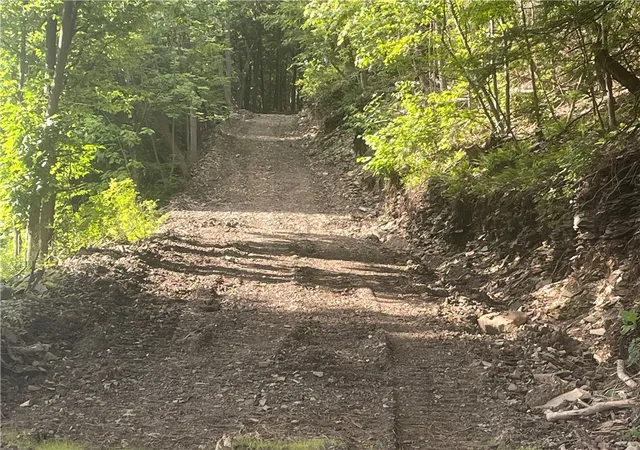 Photo 2 of Land for sale at County Hwy 35, Milford, NY 13807 | MLS# R1707777 | Listing updated on 2026-08-28