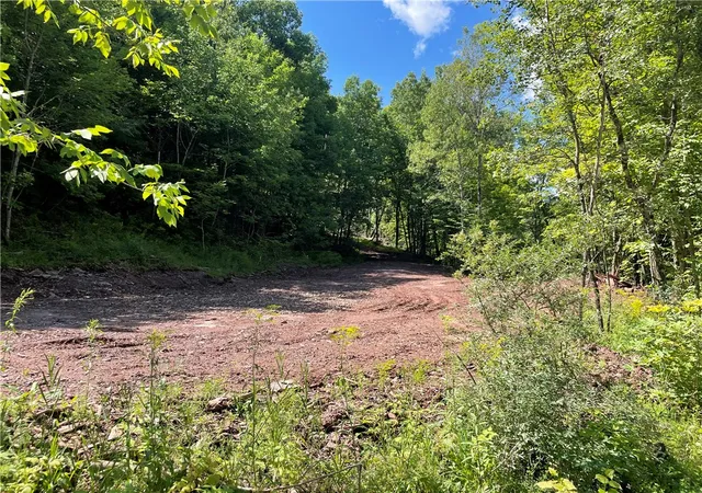 Photo 4 of Land for sale at County Hwy 35, Milford, NY 13807 | MLS# R1707777 | Listing updated on 2026-08-28