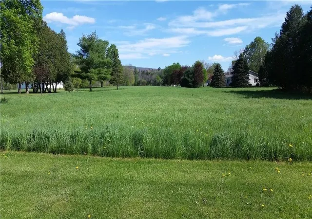 Photo 1 of Land for sale at 0 Gibson St, Dansville, NY 14437 | MLS# R1707550 | Listing updated on 2026-08-18