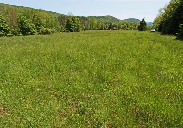 Photo 1 of Sale Pending at John Shultis Rd, Denver, NY 12421 | MLS# R1705468 | Listing updated on 2026-09-04
