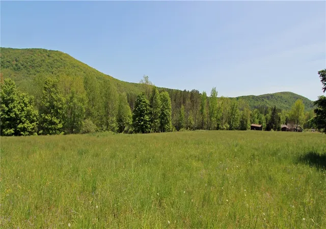 Photo 3 of Sale Pending at John Shultis Rd, Denver, NY 12421 | MLS# R1705468 | Listing updated on 2026-09-04