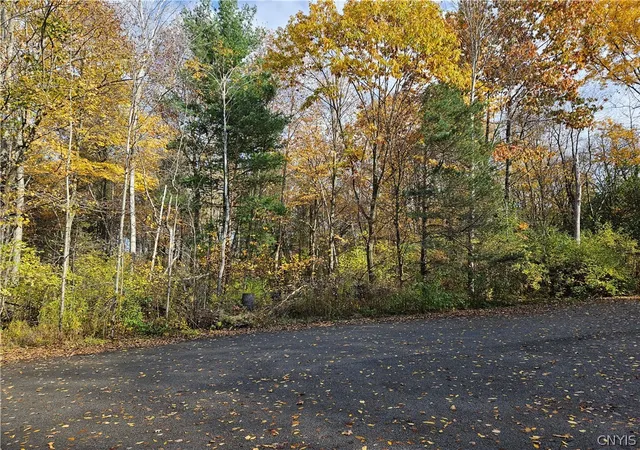 Photo 1 of Land for sale at Birch Ln, Clayton, NY 13624 | MLS# S1708822 | Listing updated on 2026-08-20