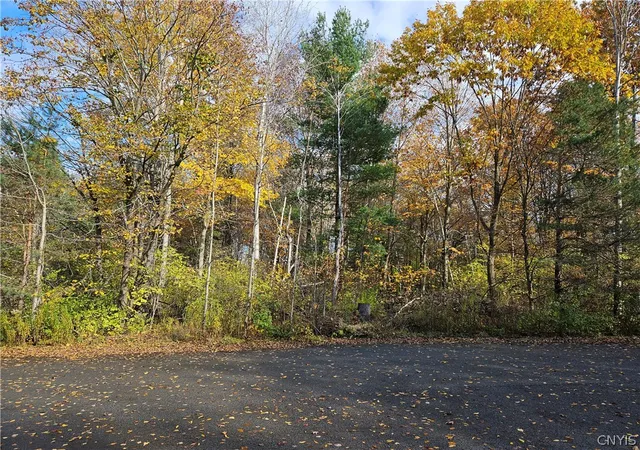 Photo 2 of Land for sale at Birch Ln, Clayton, NY 13624 | MLS# S1708822 | Listing updated on 2026-08-20