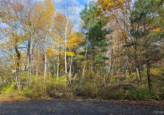 Photo 3 of Land for sale at Birch Ln, Clayton, NY 13624 | MLS# S1708822 | Listing updated on 2026-08-20