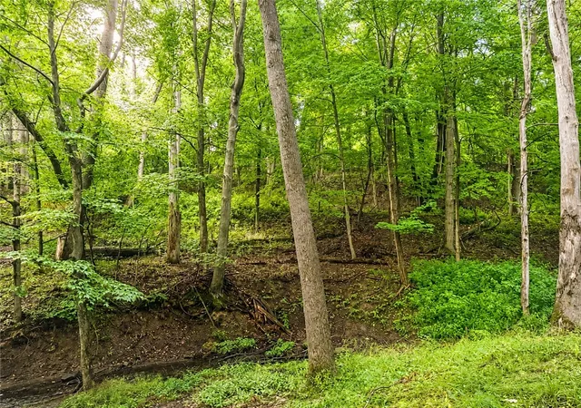 Photo 3 of Land for sale at 93 Van Voorhis St, Rochester, NY 14617 | MLS# R1708521 | Listing updated on 2026-08-20