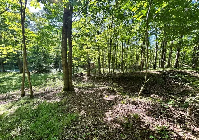 Photo 1 of Land for sale at 6952 Canadice Hill Rd, Canadice, NY 14560 | MLS# R1708407 | Listing updated on 2026-08-21