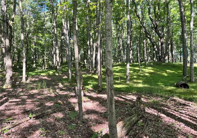 Photo 3 of Land for sale at 6952 Canadice Hill Rd, Canadice, NY 14560 | MLS# R1708407 | Listing updated on 2026-08-21