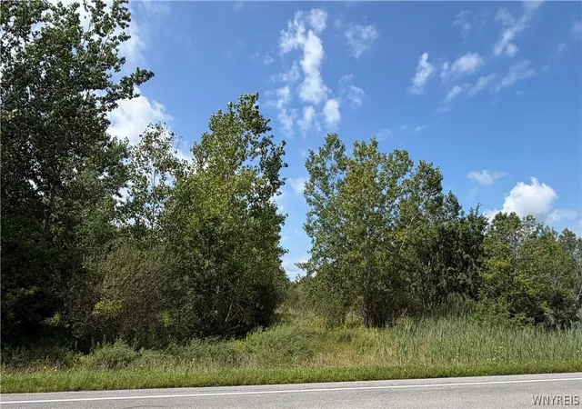 Photo 3 of Land for sale at Vl Lewiston Rd, Royalton, NY 14105 | MLS# B1709047 | Listing updated on 2026-08-24
