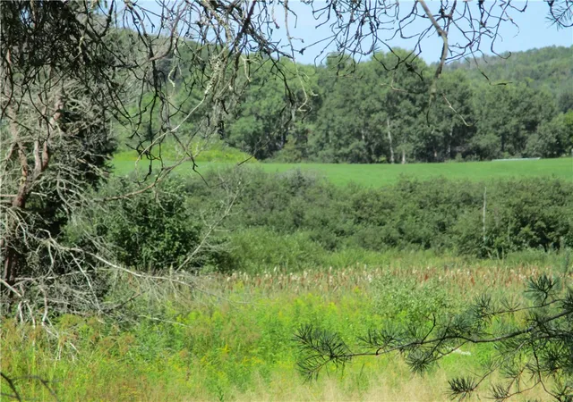 Photo 1 of Land for sale at Lot 1 State Route 80, Smyrna, NY 13464 | MLS# R1709281 | Listing updated on 2026-08-25