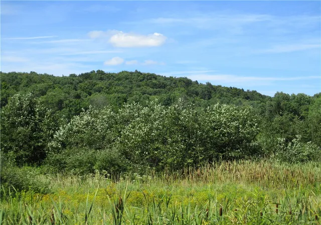 Photo 3 of Land for sale at Lot 1 State Route 80, Smyrna, NY 13464 | MLS# R1709281 | Listing updated on 2026-08-25