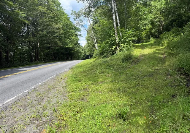 Photo 1 of Land for sale at County Hwy 48, Oneonta, NY 13820 | MLS# R1709152 | Listing updated on 2026-08-23