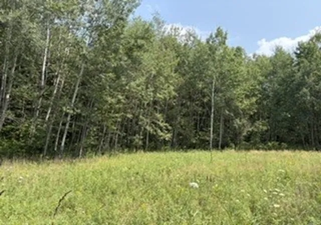 Photo 2 of Land for sale at (Undisclosed), Busti, NY 14710 | MLS# R1709155 | Listing updated on 2026-08-23