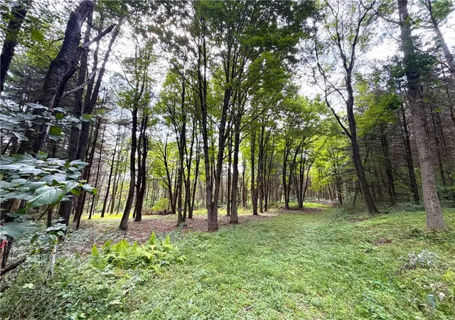 Photo 1 of Land for sale at 2 Dutton, Clarksville, NY 14727 | MLS# R1709341 | Listing updated on 2026-08-23
