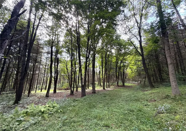 Photo 3 of Land for sale at 2 Dutton, Clarksville, NY 14727 | MLS# R1709341 | Listing updated on 2026-08-23