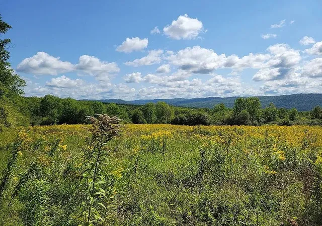 Photo 2 of Land for sale at 442 Roscoe Jones Rd, Middlefield, NY 13326 | MLS# R1709542 | Listing updated on 2026-08-25