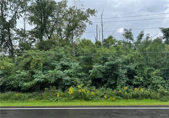 Photo 1 of Land for sale at 6136 Cobblestone Dr, Cicero, NY 13039 | MLS# S1709604 | Listing updated on 2026-08-25