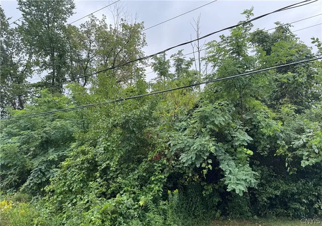 Photo 3 of Land for sale at 6136 Cobblestone Dr, Cicero, NY 13039 | MLS# S1709604 | Listing updated on 2026-08-25