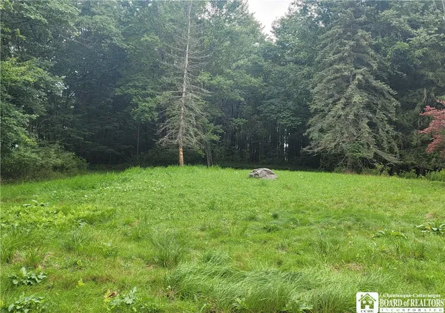 Photo 3 of Land for sale at 2014 Buffalo Street Ext, Ellicott, NY 14701 | MLS# R1710354 | Listing updated on 2026-08-27