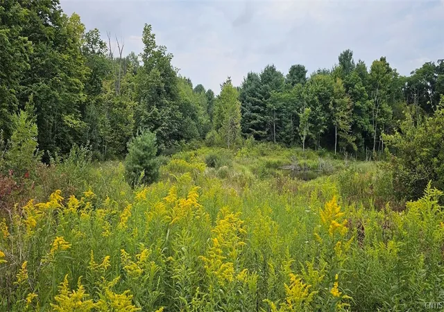 Photo 1 of Land for sale at 1569 Oakdale Rd, Maine, NY 13790 | MLS# S1710858 | Listing updated on 2026-08-28
