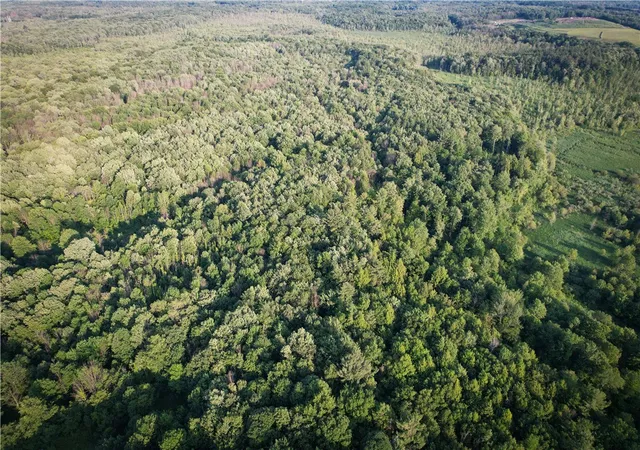 Photo 2 of Land for sale at 98 Hawk Rd, Volney, NY 13069 | MLS# R1710852 | Listing updated on 2026-08-28