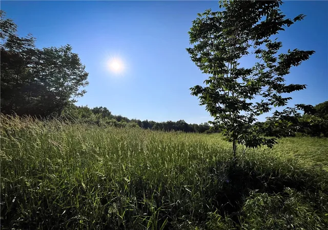 Photo 4 of Land for sale at 98 Hawk Rd, Volney, NY 13069 | MLS# R1710852 | Listing updated on 2026-08-28