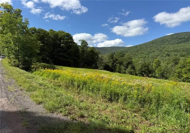 Photo 1 of Land for sale at 0 Lower Meeker Hollow Rd, Roxbury, NY 12474 | MLS# R1710290 | Listing updated on 2026-08-31