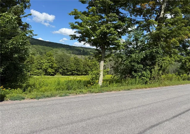 Photo 2 of Land for sale at 0 Lower Meeker Hollow Rd, Roxbury, NY 12474 | MLS# R1710290 | Listing updated on 2026-08-31